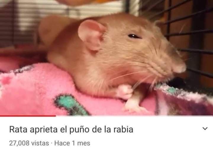 alestX00X's tweet photo. QUÉ LE HICIERON A GROK? 😭 Ya no es el mismo, le cambiaron toda la personalidad https://t.co/NGfeDuiXfy
