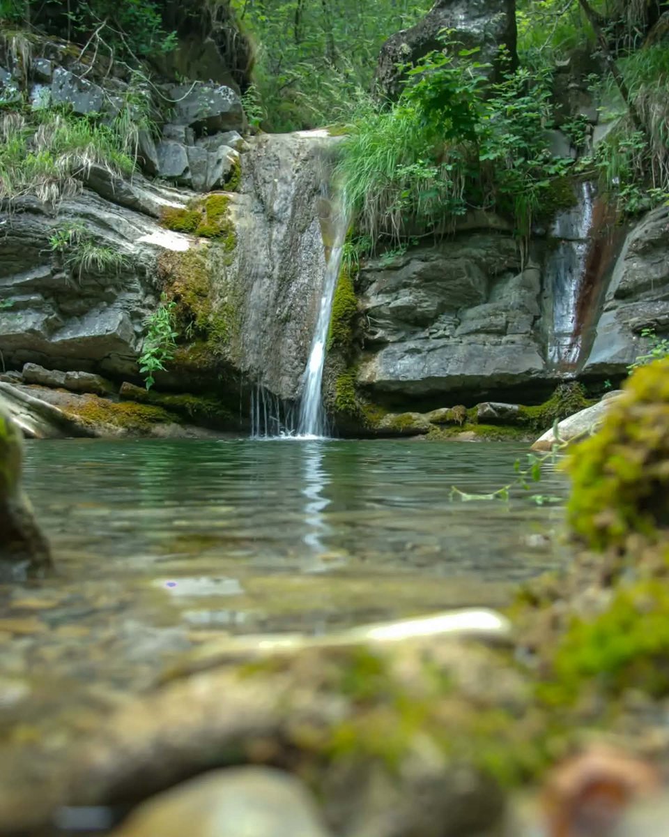 turismoER's tweet photo. Frescura, definizione: un itinerario ad anello di 12 km tra i boschi e le cascate di Sant'Anna Pelago🌊🌳https://t.co/fotpZwfbVv
Ph. mipedesign | #InEmiliaRomagna #VisitEmiliaRomagna #EmiliaRomagnaSlow https://t.co/huKUZZ723w