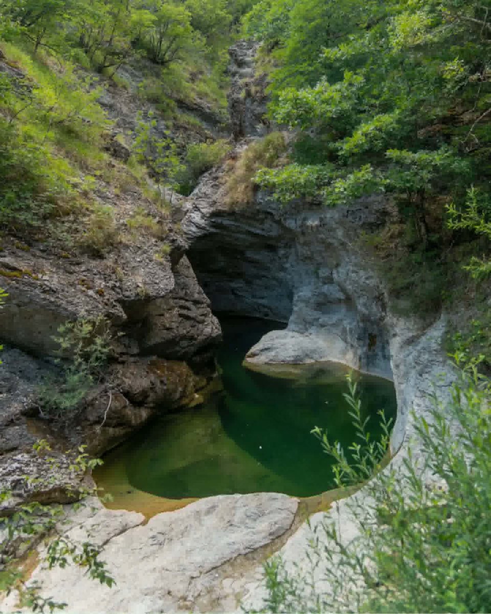 turismoER's tweet photo. Frescura, definizione: un itinerario ad anello di 12 km tra i boschi e le cascate di Sant'Anna Pelago🌊🌳https://t.co/fotpZwfbVv
Ph. mipedesign | #InEmiliaRomagna #VisitEmiliaRomagna #EmiliaRomagnaSlow https://t.co/huKUZZ723w