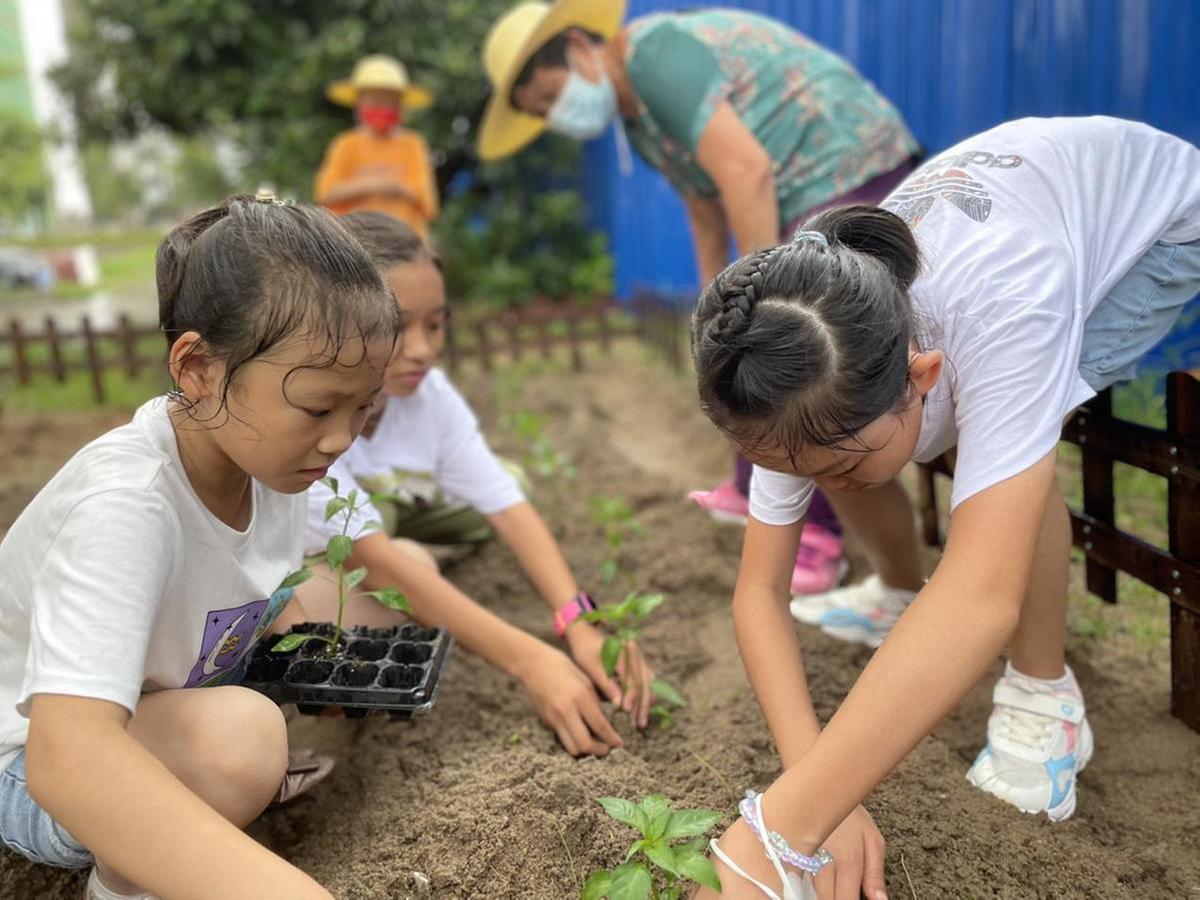 FeminiPatel's tweet photo. Free community garden planting day this Sat 10am at Central Park! All welcome—bring gloves, no experience needed. Let’s grow fresh veggies together!， https://t.co/Ac6LtP4CyW