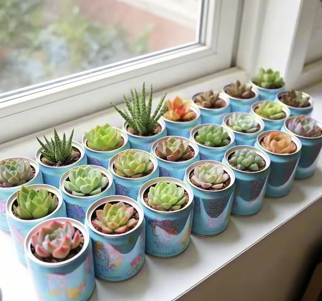 GGendiiis's tweet photo. Turn an old mason jar into a cute succulent planter in 5 mins! Save money u0026 upcycle today https://t.co/Jhd7qCBDrK