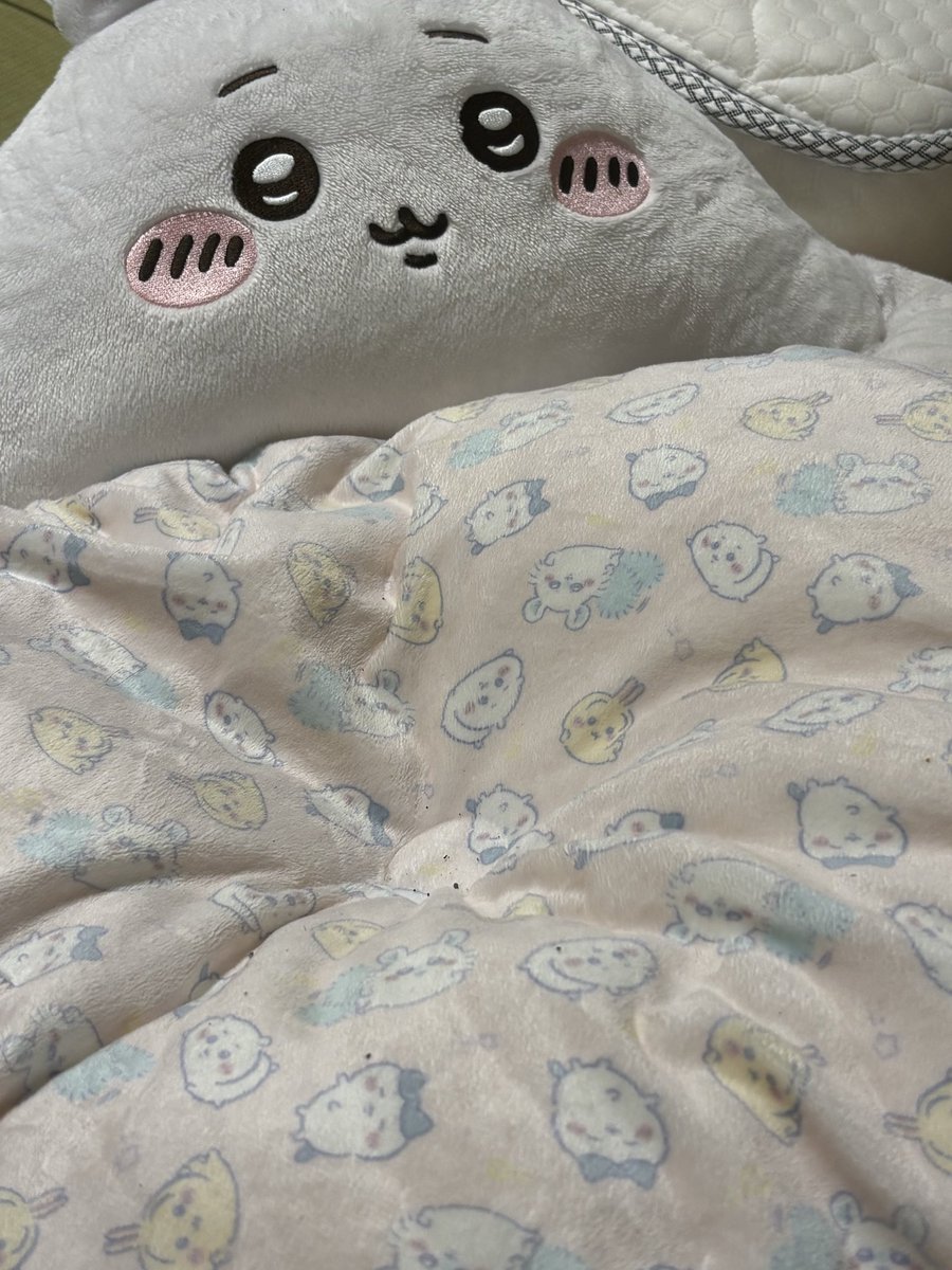 kxtj53795's tweet photo. 犬用 https://t.co/kJFcry7yD7