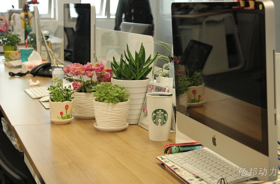 selby_cathy's tweet photo. My 10-minute work break just turned into 20 minutes of staring at the office plant  No regrets though.， https://t.co/Tppi6wex8g
