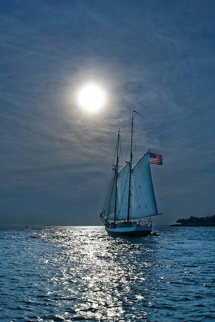 SairaaliMM's tweet photo. Sea riders https://t.co/3Tcr5ALH1S
