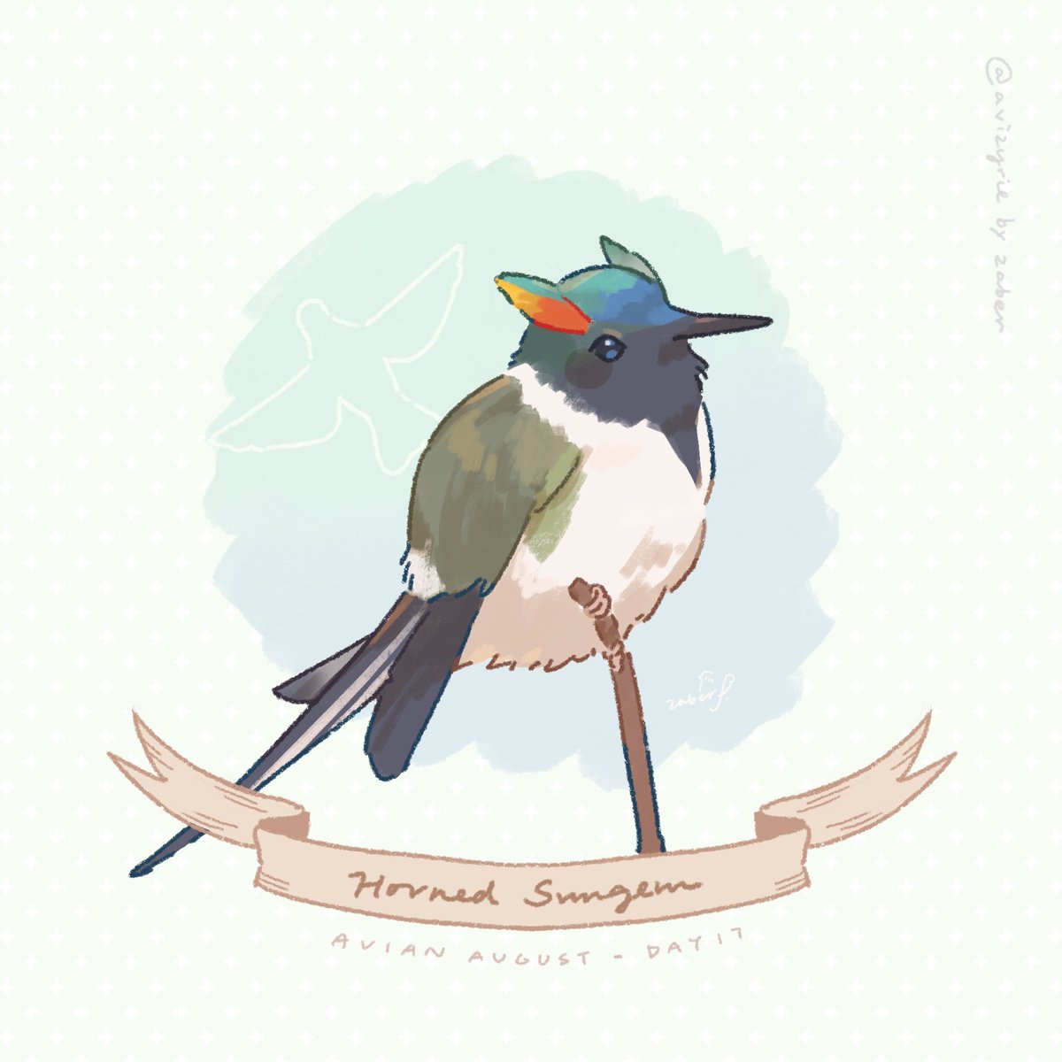 Avizyrie's tweet photo. Day 17 - Horned Sungem
Wolverine birb bub
#AvianAugust #AvianAugust2026 https://t.co/89gYBDTI6A