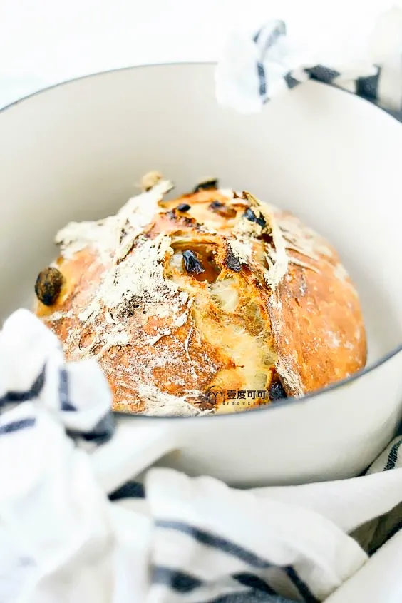 Apucram's tweet photo. Caught my intern trying to use the office fridge to proof homemade sourdough—said the 40°F temp was "perfect for yeast" instead of storing last night's leftover pizza. Office microbiology just leveled up. https://t.co/7KFjvedBNd