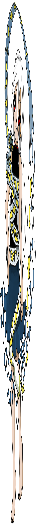 mellow_gigginox's tweet photo. testing the new twitter image format https://t.co/F0PeGwHJ3e