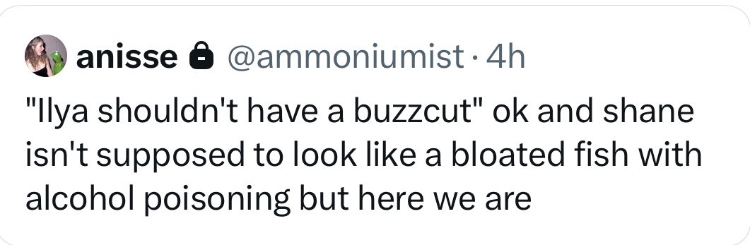 wassuphifza's tweet photo. genuinely sick to my stomach how people making jokes about ilya’s hair led to bodyshaming hudson. and this is the same fandom that was complaining about harris not being fat. https://t.co/HpgUXAx3h2