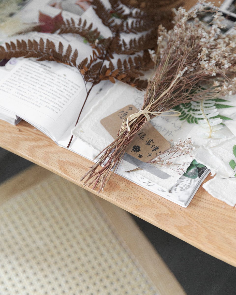Red_She_Panda's tweet photo. Tired of cluttered old stuff stealing space Sorting out vintage items not only clears room but also brings hidden surprises—plus, it’s eco-friendly! Try going through one shelf at a time today. https://t.co/5CHVFYCiZz