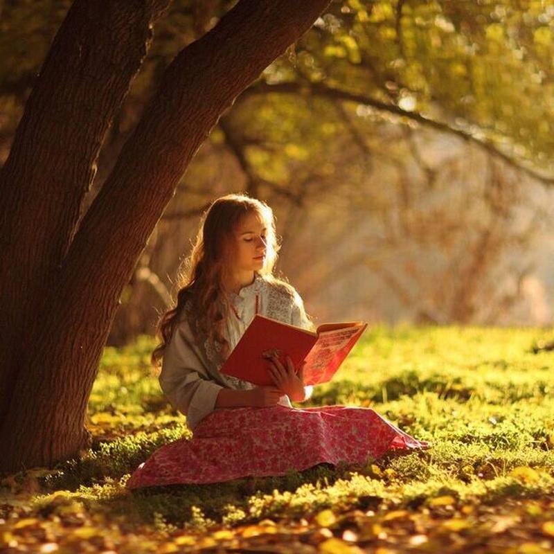 APPLE0246810121's tweet photo. Just curled up on the sofa with a warm latte and my favorite book—nothing beats these slow, cozy Sunday vibes https://t.co/wIcOuuhdy1