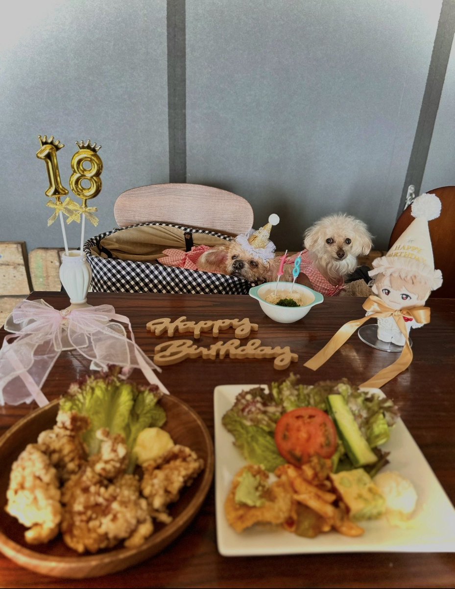 eko_fuurin_skrm's tweet photo. ご相伴に預かりました♥️
我が家の8月ははなこ先生御生誕お祝い強化月間となっております
先生を連れ回し食べまくっておりま〜す♪
#お誕生日 #トイプードル #18歳
#ハイシニア犬 #ほとんど寝てる
#ドッグカフェ #dog #dogcafe
#ごはんの美味しいお店
#パンケーキ #パンケーキの美味しいお店 #野菜農家さんのお店
#野菜なんでも袋いっぱい100円
#犬との暮らし #犬との生活
#犬のいる暮らし #犬のいる生活