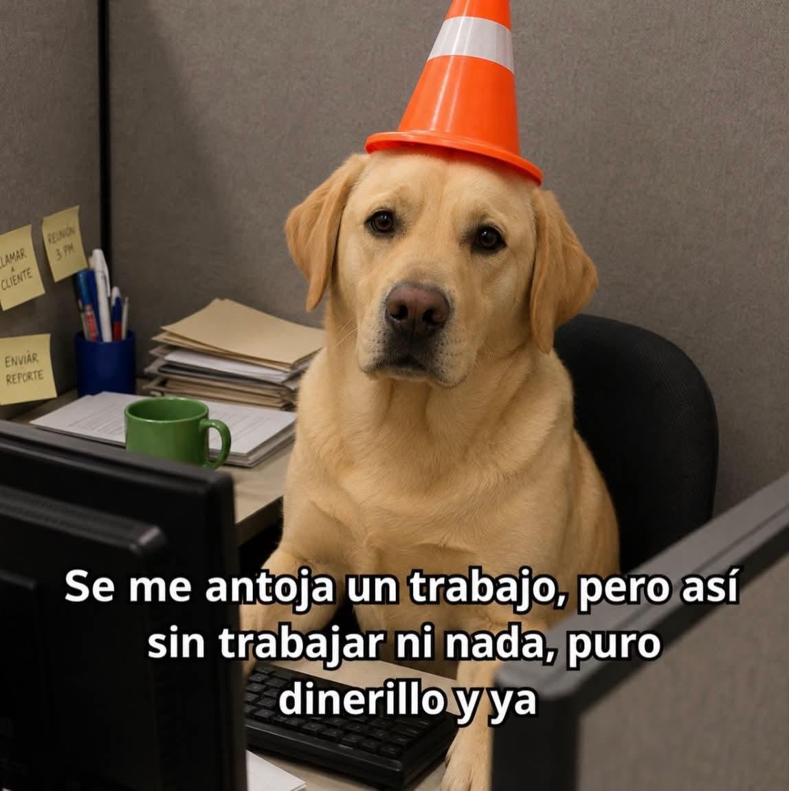 Lu15875Luis's tweet photo. https://t.co/oO3sGrE4qT