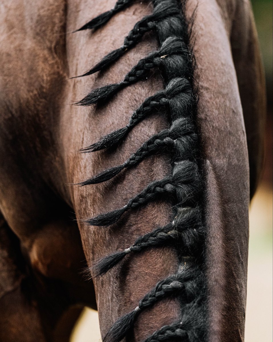 ev_snaps's tweet photo. Focusing on the finer details 🔍

#photography #canon #canonphotography #horseracing https://t.co/4cQU2EnDjq