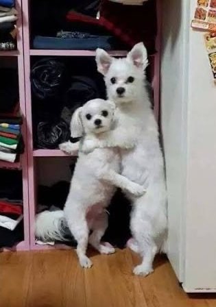 icjejeb's tweet photo. @meowww0115 같위가요 https://t.co/3PhyRsOWhX