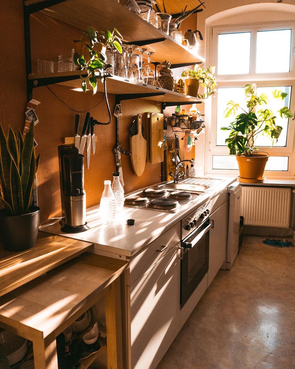 firabaeeww's tweet photo. Just folded the last load of laundry and stepped back to see the sun filtering through the kitchen window onto the neat piles — small wins make the day feel so much lighter. https://t.co/Pr02dbZowZ