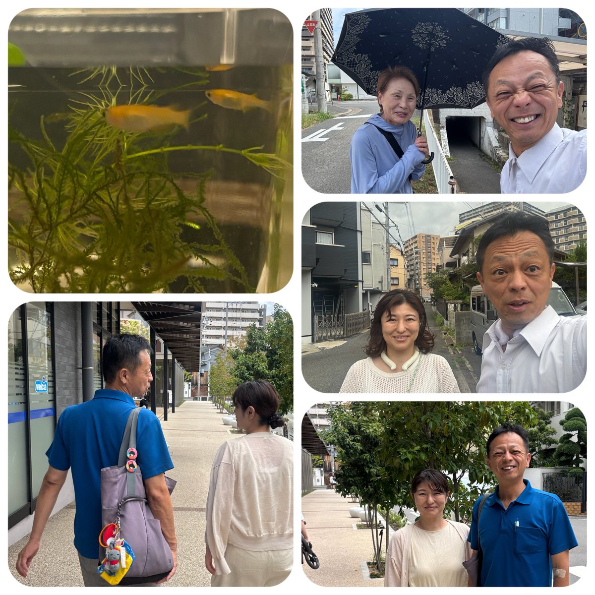 tsujitani7srtmh's tweet photo. アクションの中でたくさんの出会いをいただきました感謝いっぱいでございます
元気をたくさんいただきました
皆さまも暑い中ですが使命の道、使命の場所で挑戦をされています
自身も挑戦！チャレンジ！を続けます✨
本当にありがとうございます
＃寝屋川市　＃感謝　＃市民相談 https://t.co/H1cKkmVRQi