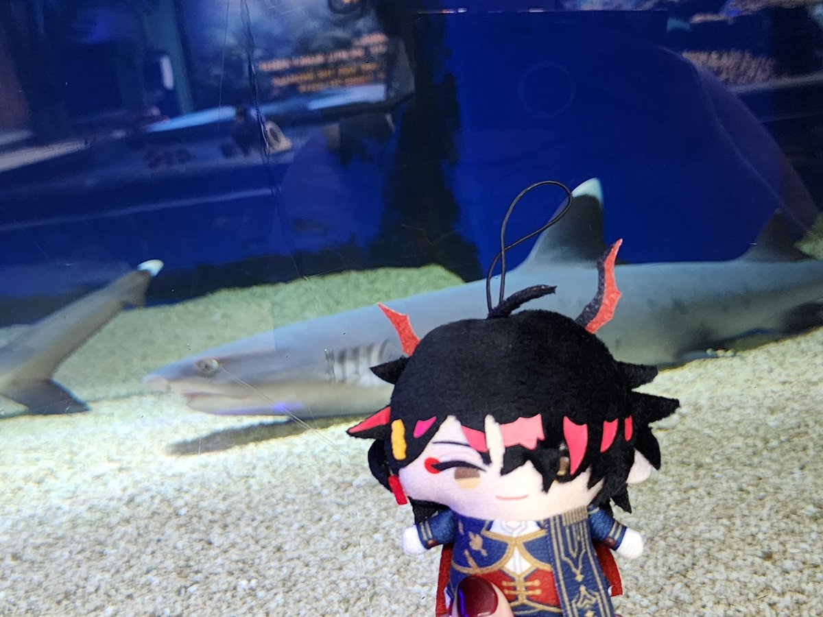 SomeRndmGrl86's tweet photo. @rokusanae We visited an aquarium https://t.co/IAghyrmChw