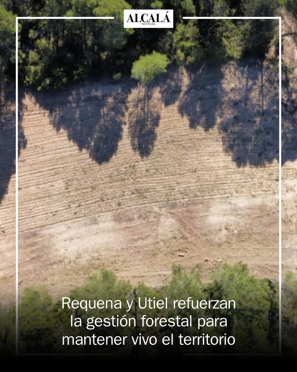 AlcalaEdOn's tweet photo. 🔥🌳 ¡La comunidad se une por un futuro más seguro! Requena y Utiel implementan un proyecto innovador para prevenir incendios forestales y recuperar el campo. La lucha empieza antes del fuego. ¡Conoce más sobre esta iniciativa! #VidaRural... https://t.co/gFHGDjbQGy https://t.co/m6wTjrh28J