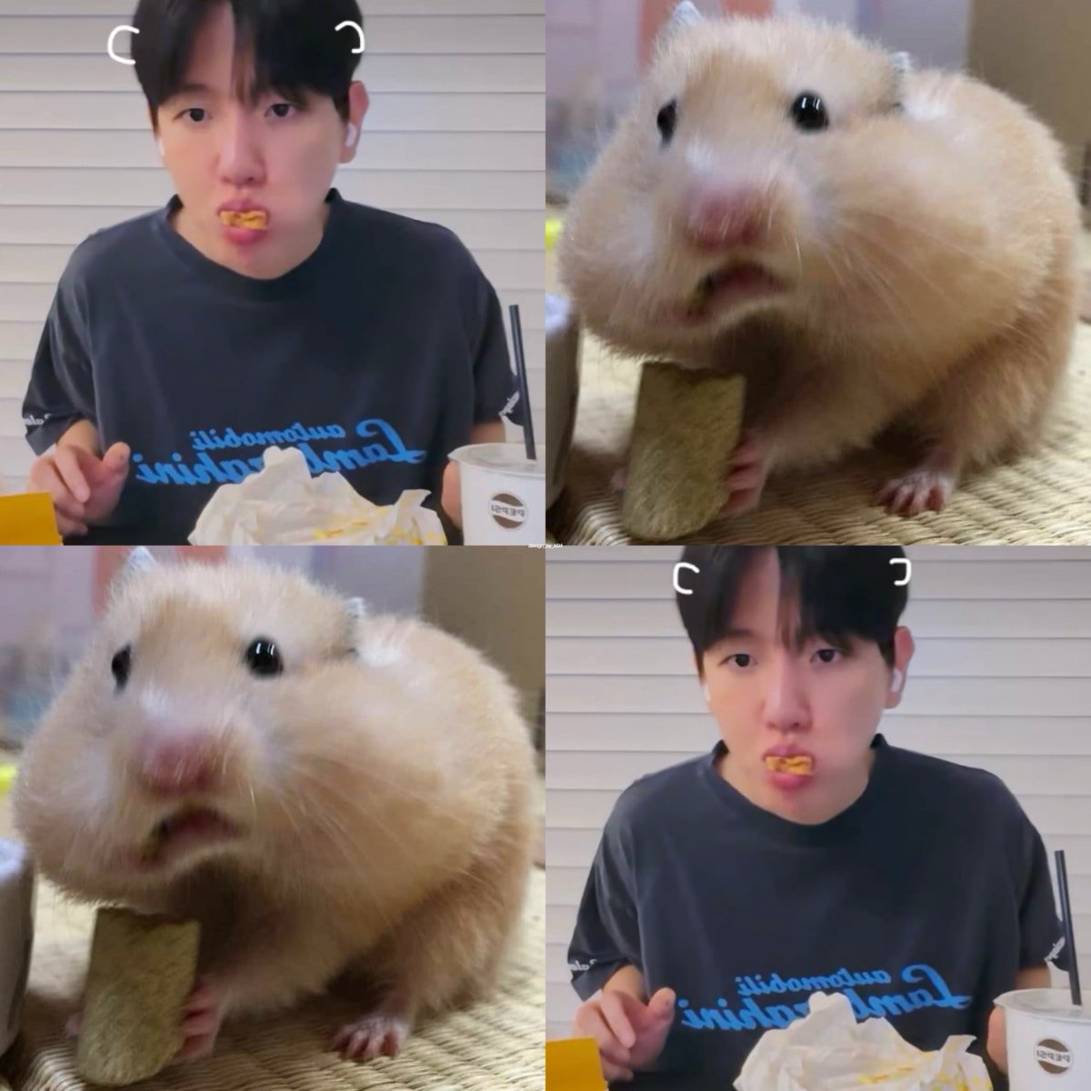 design_by_b04's tweet photo. 햄큥🐹 https://t.co/iQY6ZNfjmZ