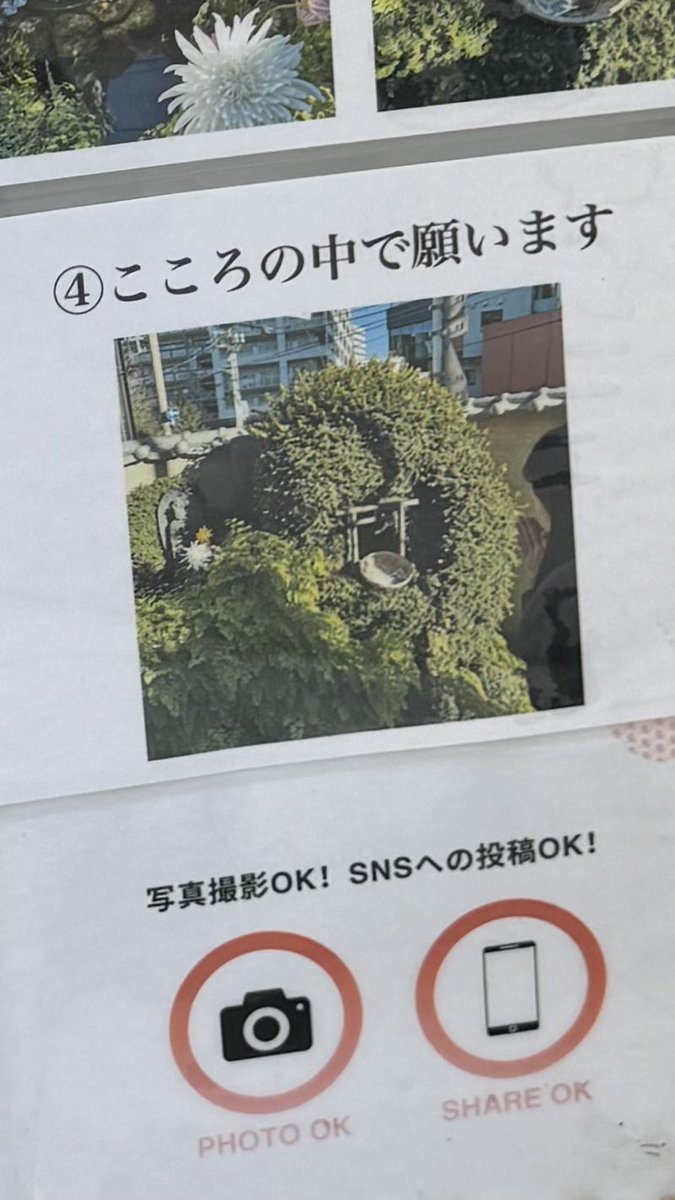 shuFMY's tweet photo. 目の回復とこれからの益々のご活躍を願ってきました⋆˙⟡ https://t.co/jLbtstapKk