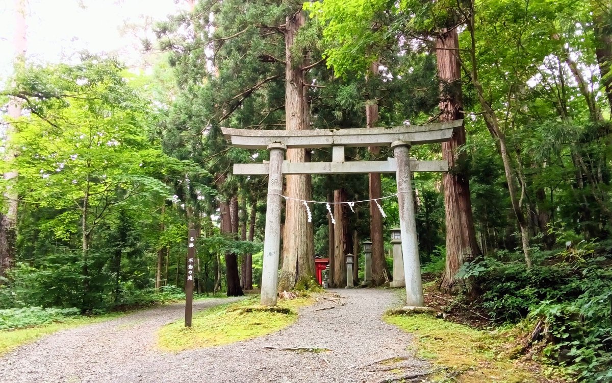 hachihappy08's tweet photo. @cervofelt ラオウ😁ｸｽｸｽ
この滝は桜松神社の鳥居をくぐって辿り着きます
御神体ってことなので手を合わせる前に帽子をとりました🧢 https://t.co/LRDO5tqp0E