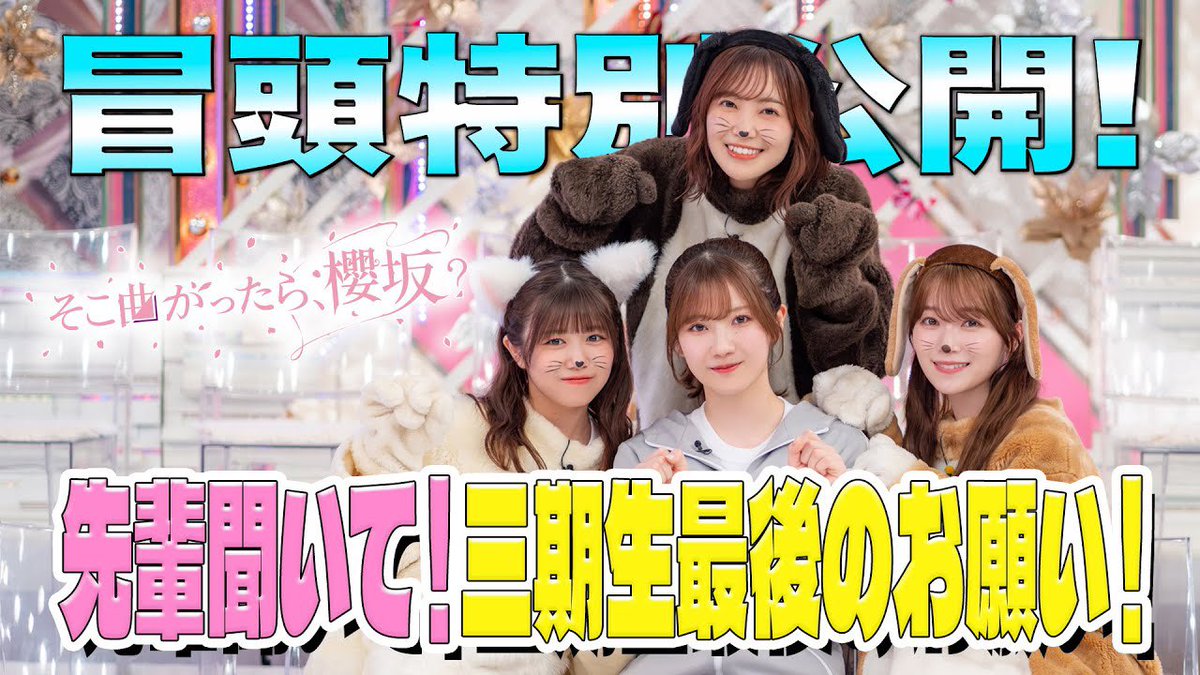 Kakka0418's tweet photo. しかし、お嬢はそういった特別な要因が少ないにも関わらず、2位というかなり高い登場回数を誇ります
これは企画段階ではなく、収録中に爪痕を残している証かもしれませんね
その証拠に、お嬢のサムネはなんかオモロいのが多いです笑

『そこ曲がったら、櫻坂？』 https://t.co/lppaXJgghG @YouTubeより https://t.co/OPnQmdBiqd