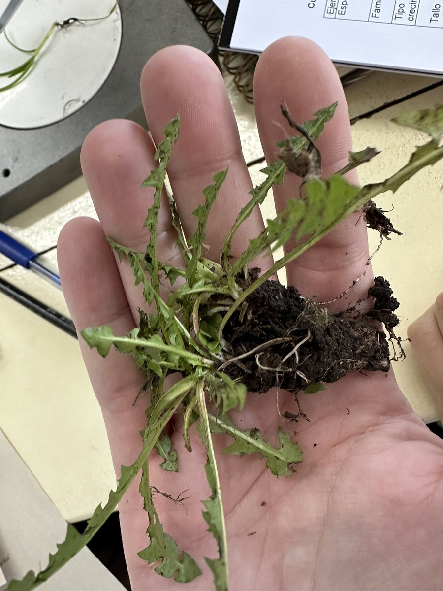 agrostudiess's tweet photo. primer lab del cuatri (muy estresante y no entendi nada) https://t.co/xUVEMs0zvE