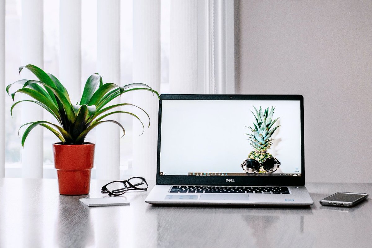 bona_kusanagi's tweet photo. My desk plant judging me for scrolling work memes during the 3pm lmao ， https://t.co/GKbvNVPFb1