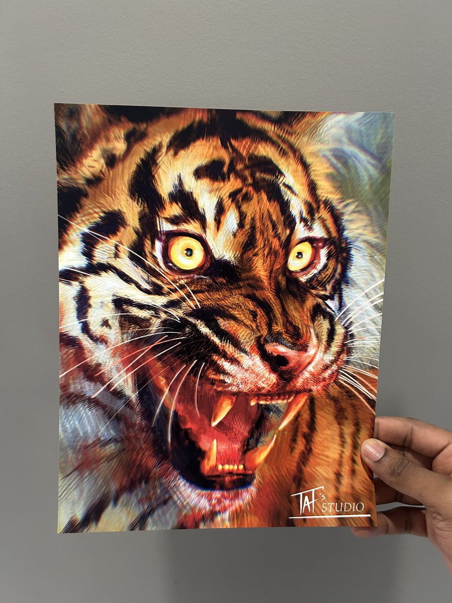 StudioTafs's tweet photo. @Procreate Definitely this guy! 🐅 Drawn with my custom procreate brushes . https://t.co/0VMzykU1No