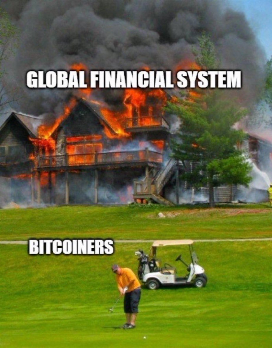 BitcoinMemeist's tweet photo. https://t.co/P2Va99HWeg