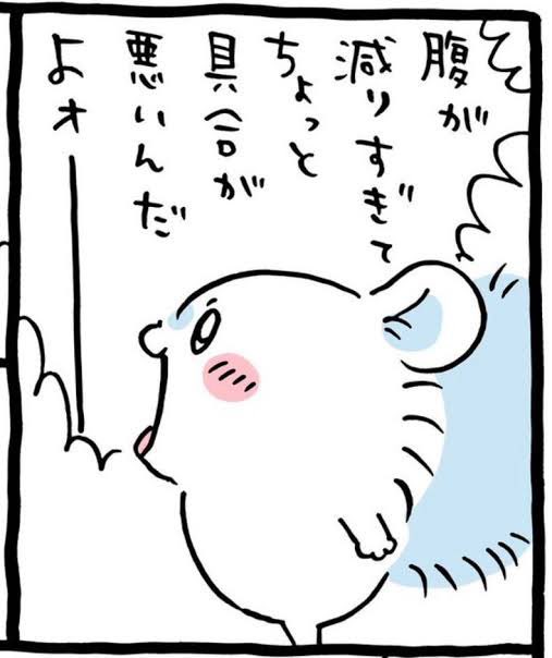 hahahazami's tweet photo. 飯テロ反対‼️深夜の飯テロは怒りますよ‼️ https://t.co/w1OI0XXilG