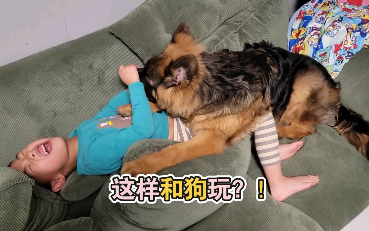 Ravisardar8's tweet photo. Just saw my fluffy pup go from tiny peanut to zooming furball in 6 months—growth hits different when it’s the goodest boy! https://t.co/99CrHUVFsy