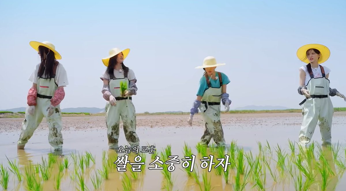 elit_quprids's tweet photo. The Ceo of National Agricultural Cooperative Federation (Nonghyup) Economic Holdings said "No matter how hard Nonghyup promotes it, it only reaches about 50K people, but when ILLIT posts it, the content reaches 500K to 1M people"

ILLIT's impact 😭 https://t.co/Os7DY45J3a