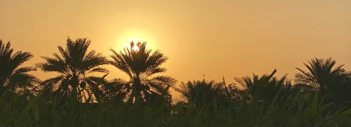 v80r_1's tweet photo. يوم طاحت جمرة العصر في ذرو النهار
  كن جمرتها على لسان كبدي طايحه https://t.co/dxSp9PGNAi