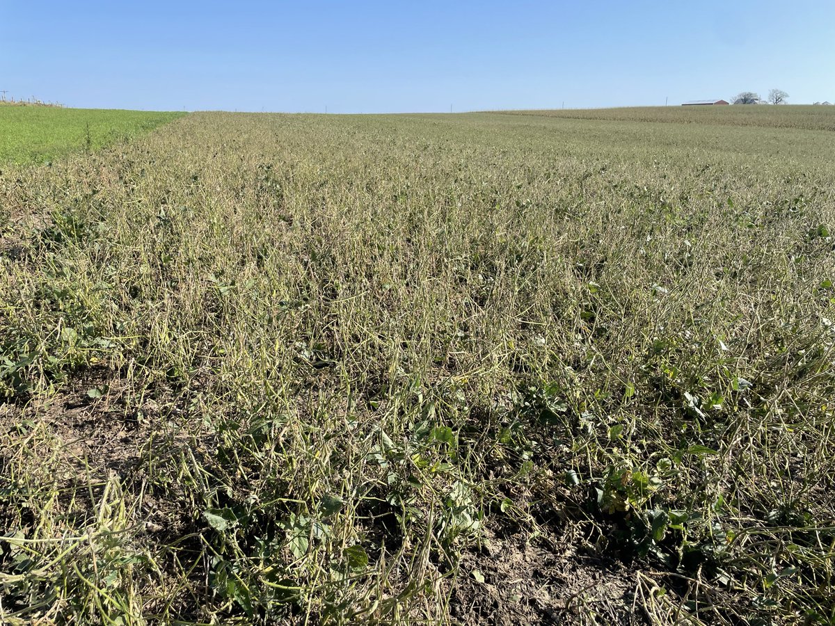 ncordier1's tweet photo. Linn Delaware line Iowa, hail damage #pftour26 https://t.co/VhNZpIXKC6