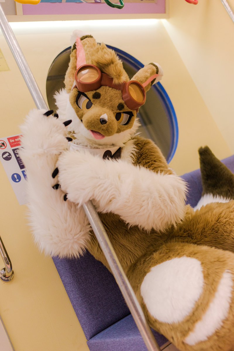 Syuki_fur's tweet photo. #Fursuit #FursuitFriday
어서와요~😘❤️
いらっしゃい、待ってたよ https://t.co/9JHD7A0ynZ