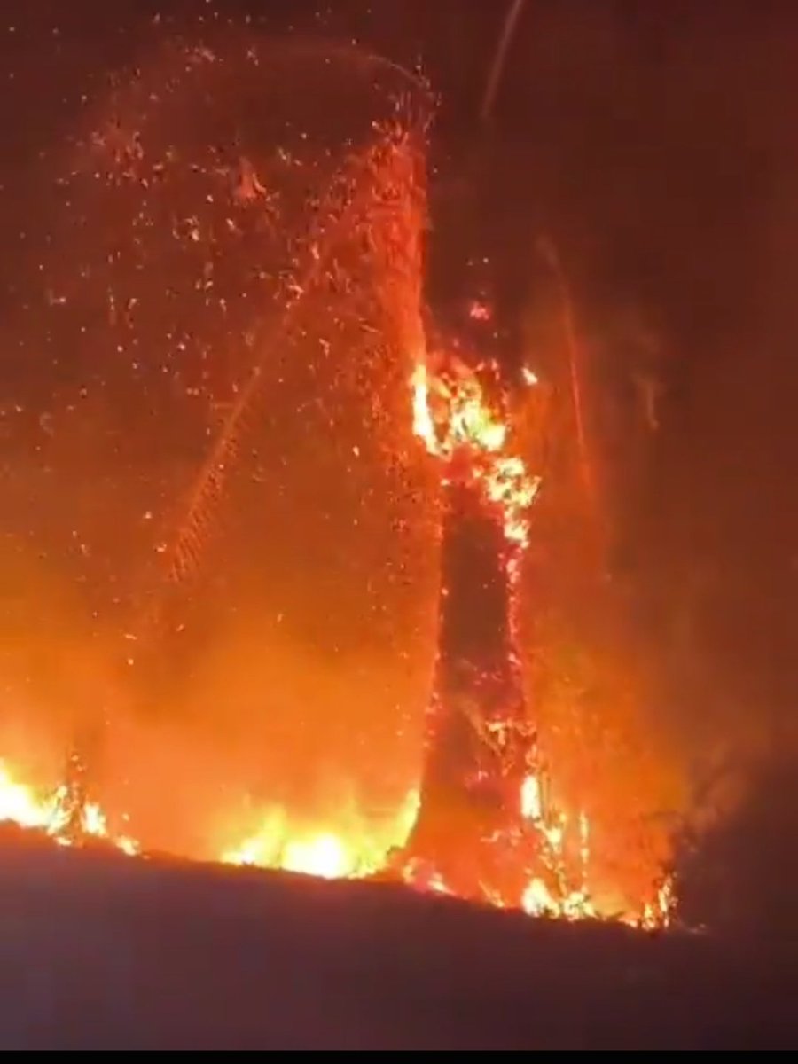 Top_Disaster's tweet photo. Massive forest fire burning in Central Kalimantan, Indonesia 🇮🇩 (20.08.2026) https://t.co/y0WvjuSJgd