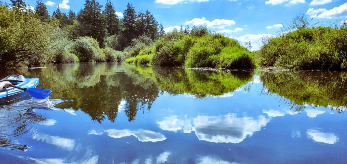 LindaPeters64's tweet photo. @obligatraveler @t_jh2009 @travelstustring @TravelAtWill @roto1957 @Jessicawhippl17 @KettleAndTravel @danielrbates82 @Elizabcullen @LizzieHelenMay Relaxing is an integral part of travel.
* Kayaking through the clouds, along a picturesque river, Pitt Meadows, B.C.
* Hanging in a Hammock, Big Island, Hawaii.
* Snug as a bug in a Rug, after pool time.
* Enjoying a seat, in Halifax, Nova Scotia. ๐
#Top4Theme #Top4Relaxing https://t.co/FN8xzJGfvi