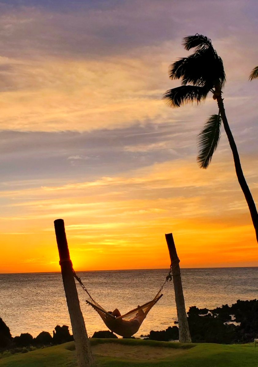 LindaPeters64's tweet photo. @obligatraveler @t_jh2009 @travelstustring @TravelAtWill @roto1957 @Jessicawhippl17 @KettleAndTravel @danielrbates82 @Elizabcullen @LizzieHelenMay Relaxing is an integral part of travel.
* Kayaking through the clouds, along a picturesque river, Pitt Meadows, B.C.
* Hanging in a Hammock, Big Island, Hawaii.
* Snug as a bug in a Rug, after pool time.
* Enjoying a seat, in Halifax, Nova Scotia. ๐
#Top4Theme #Top4Relaxing https://t.co/FN8xzJGfvi