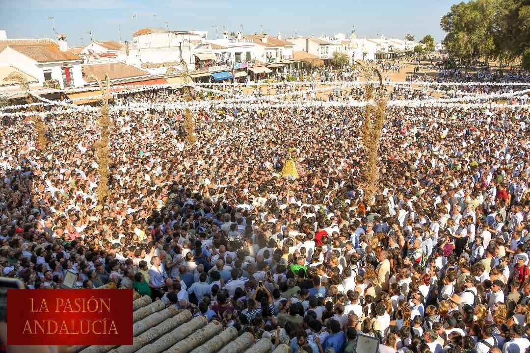 Lapasionandalu's tweet photo. Traslado de la Virgen del Rocío hacia su pueblo de #Almonte 

Gracias a @ROCIODEGINES por el cariño y el trato recibido para la realización de nuestro trabajo 
#lapasionandalucia #Traslado26 https://t.co/trxJ4Tuc3o