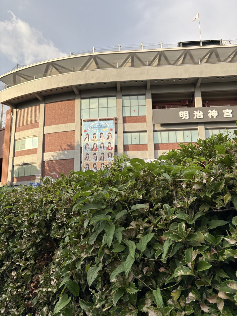 Valkyrie499_rs's tweet photo. 乃木坂のLIVE初参戦だったけど最高だったなぁ💭思ったより近かったし
また明日も盛り上がっていくぞーー❗️

#乃木坂全国ツアー神宮Day1 https://t.co/54QvrhYWsS