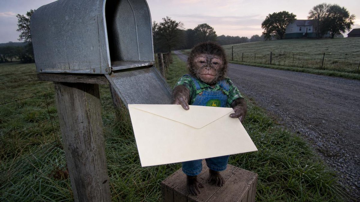 SmallMonkeycoin's tweet photo. mail came 
says the city folks are gay https://t.co/cs587mzwRo
