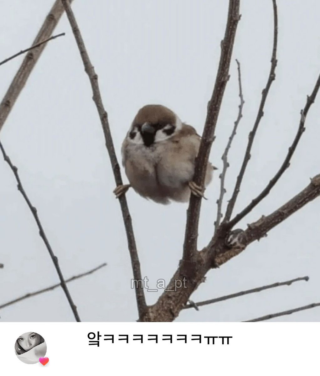 _bluustar's tweet photo. 😆😆😆😆😆 https://t.co/bcb8BVC9LS