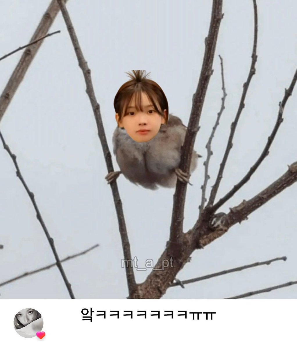 _bluustar's tweet photo. 😆😆😆😆😆 https://t.co/bcb8BVC9LS