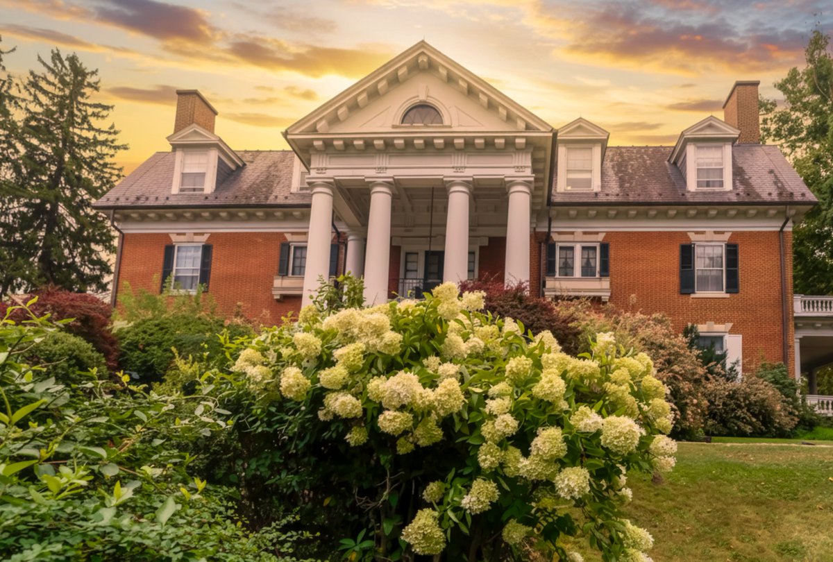 MercersburgInn's tweet photo. A beautiful display of Panicle Hydrangeas (Hydrangea paniculata) in full bloom ๐ค๐ฟ Their lush, creamy-white flower clusters soften the landscape and frame the timeless elegance of this historic home beautifully.
#Hydrangeas #PanicleHydrangea #HistoricHome #HistoricArchitecture https://t.co/R5OlcKDPj8