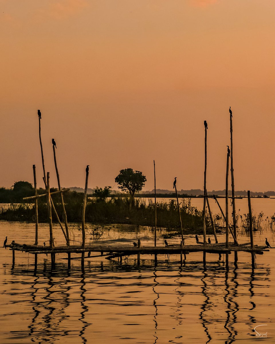 Ssayeedbm's tweet photo. Golden Hour Photographs from Bangladesh 🇧🇩 

Share your Golden Hour Photographs 📸 https://t.co/rL5Pg24AsG