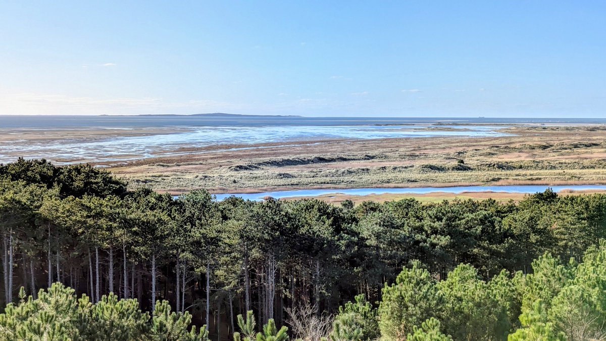 TerschellingS's tweet photo. Vanaf het Kaapsduin en Seinpaalduin heb je bij helder weer kilometers ver uitzicht over de Noordzee, het wad en zelfs tot aan Vlieland. Een klein klimmetje, maar eenmaal boven ben je dat zo vergeten.

Ben jij hier al eens geweest? 👀

📷 @RonvanderWeerd https://t.co/XSKWVgZA2M