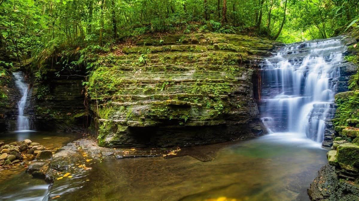 SECTUR_mx's tweet photo. Pasa unas maravillosas vacaciones de verano en dos paraísos tabasqueños. 🤩

En la zona ecoturística de Agua Selva, en la Sierra de Huimanguillo, pasa tardes inolvidables entre cascadas, ríos, flores endémicas y mucha diversión. A sólo unas horas, visita la Reserva Ecológica Villa Luz que te abre sus puertas como un santuario de agua sulfurosa. Goza de la tranquilidad en sus cascadas, alimentadas por manantiales, echate un chapuzón y relajájate entre minerales con propiedades curativas. 🌊✨

Respira aire fresco y déjate sorprender por la naturaleza de #Tabasco. 🍃