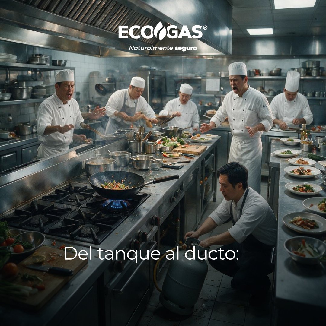 Ecogas_Mexico's tweet photo. 🚛 Antes dependía de pipas. Hoy, su negocio sigue avanzando sin detenerse. ⚡ Conoce cómo lograr una operación más continua y eficiente  👉 Descubre el proceso y da el siguiente paso. 
#ECOGAS #GasNatural #ContinuidadOperativa #EficienciaEnergética #NegociosQueAvanzan https://t.co/7ldC6zHnbl