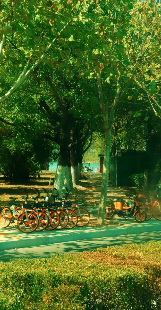 love_repeater's tweet photo. City side street corner: sunlight filtering through tree leaves, a scooter parked casually, distant chatter filling the air — perfect quiet moment caught on a random walk.， https://t.co/PD91iZDqpa
